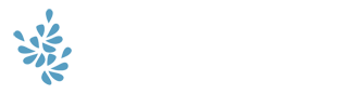 Body Wellness Products